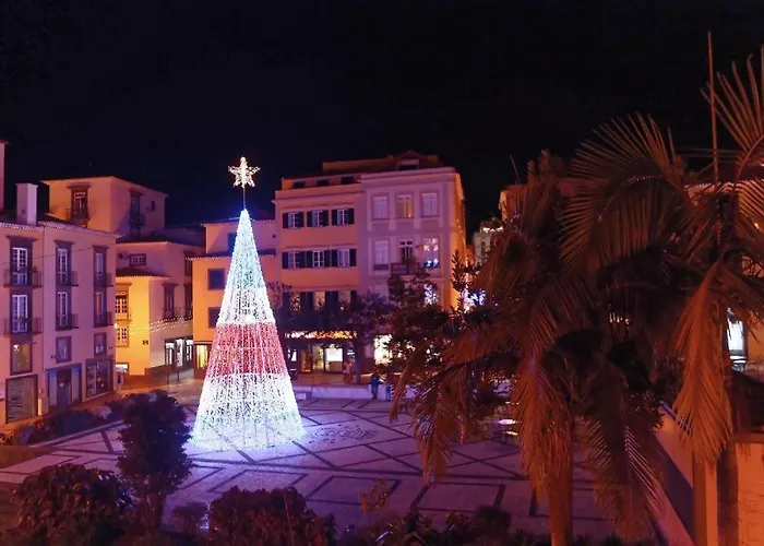 Madeira Loft I - City Center