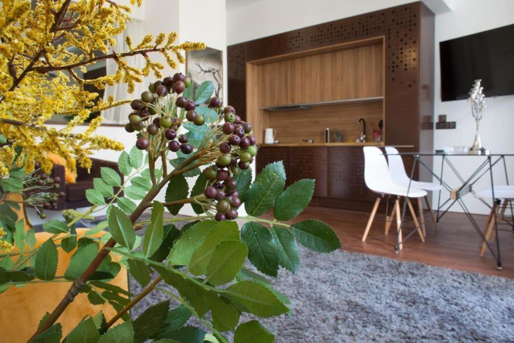 Madeira Loft I - Center * Funchal (Madeira)